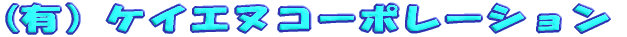 (�L�j�P�C�G�k�R�[�|���[�V���� 