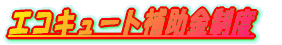 �G�R�L���[�g�⏕�����x 